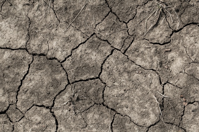 5-lyckodagar-per-stjrntecken